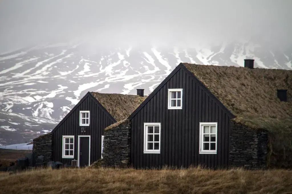 Torfhäuser aus dunklem Holz mit Grasdach vor schneebedeckten Bergen in Island