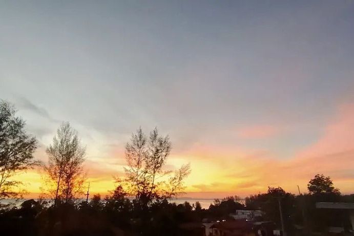 Abendlicher Himmel mit bunten Wolken und Silhouetten von Bäumen