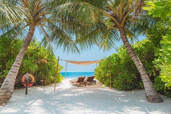 Strandbereich mit Palmen, weißen Sand und Blick auf das Meer
