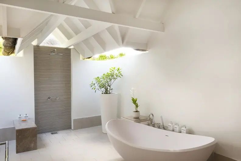 Freistehende Badewanne und Dusche in einem hellen Badezimmer mit Pflanzen und weißer Dachkonstruktion.