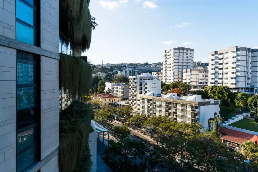 Blick vom Gebäude auf eine Straße mit Bäumen und mehrgeschossigen Stadtgebäuden.