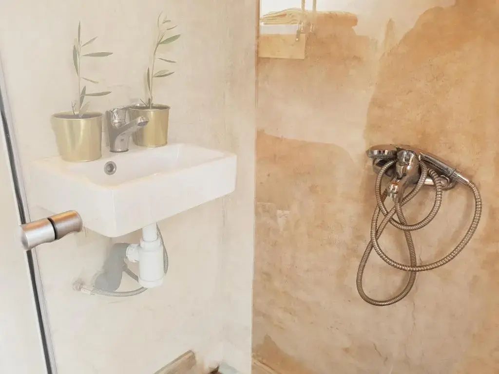 Schmales Badezimmer mit kleinem Waschbecken, Topfpflanzen und einer Duschbrause.