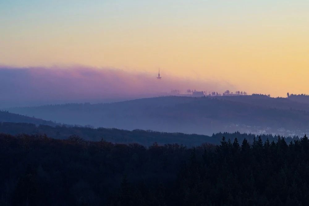 Nebelverhangene Hügellandschaft des Rheingaus bei Sonnenaufgang mit einem Fernsehturm am Horizont.