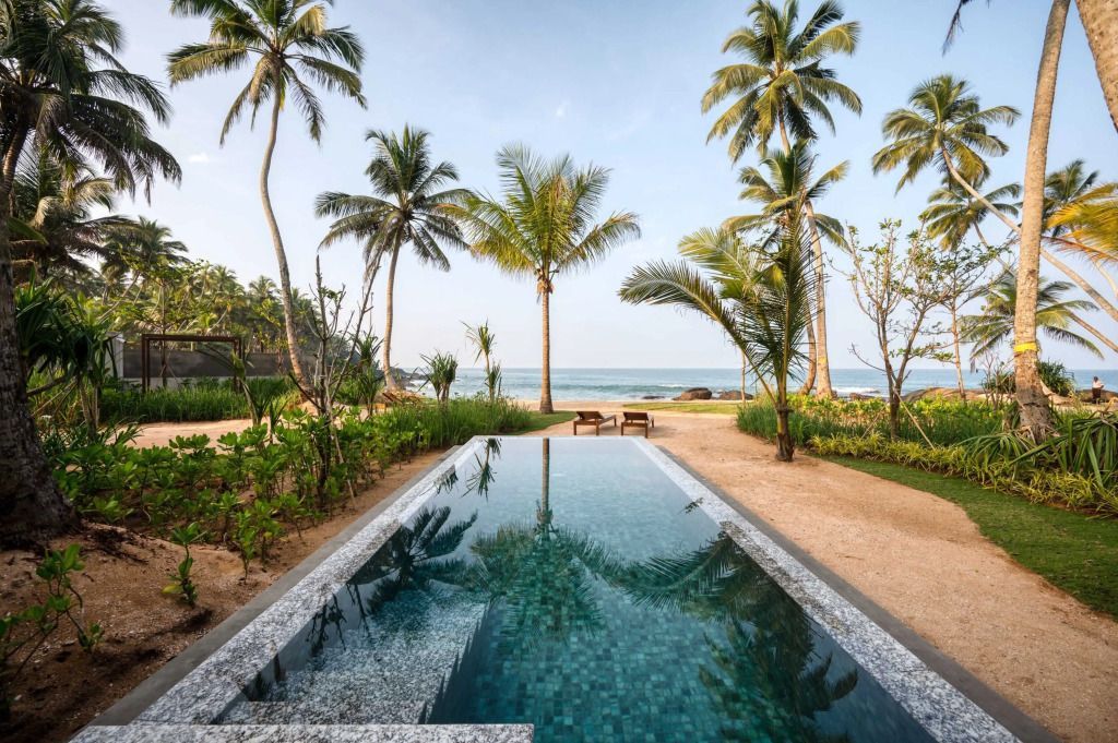 Infinity-Pool mit Blick auf den Strand und umgeben von Palmen