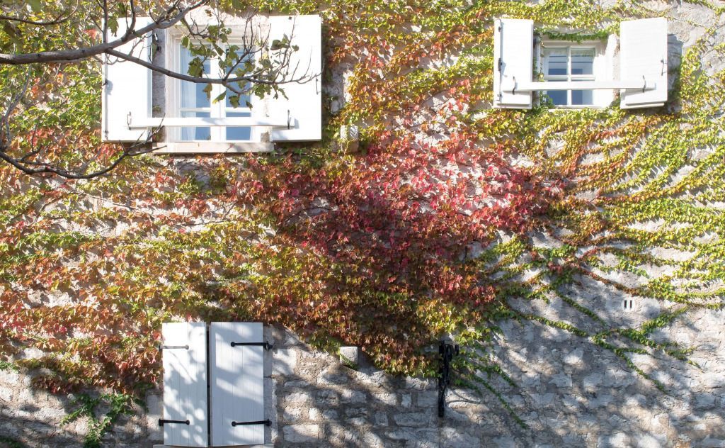 Fassade eines Gebäudes mit roten Kletterpflanzen und weißen Fensterläden im Hotel Aman Sveti Stefan