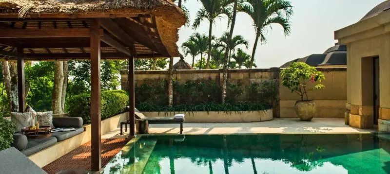 Privater Pool mit Palmen im Hintergrund, umgeben von Natur.