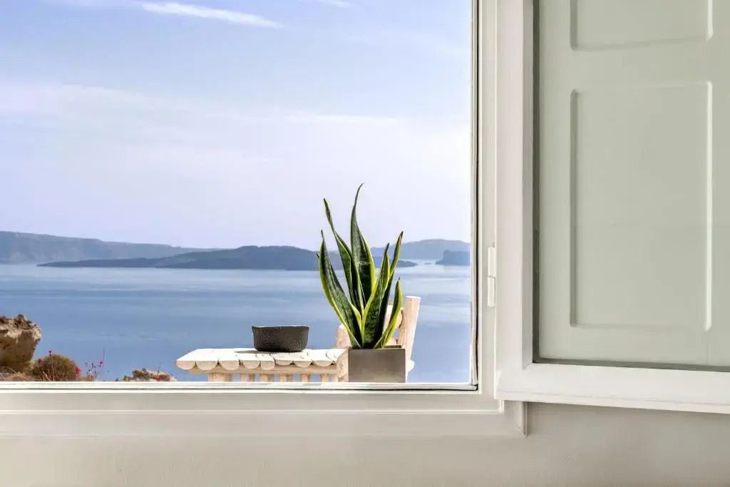 Blick durch das Fenster auf das Meer und die Landschaft mit Zimmerpflanze