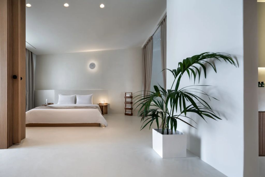 Minimalistisch gestaltetes Schlafzimmer mit großem Bett und Zimmerpflanze.