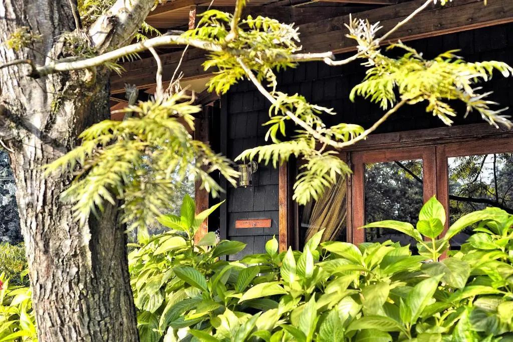 Außenansicht des Hotels mit üppigem grünem Laub