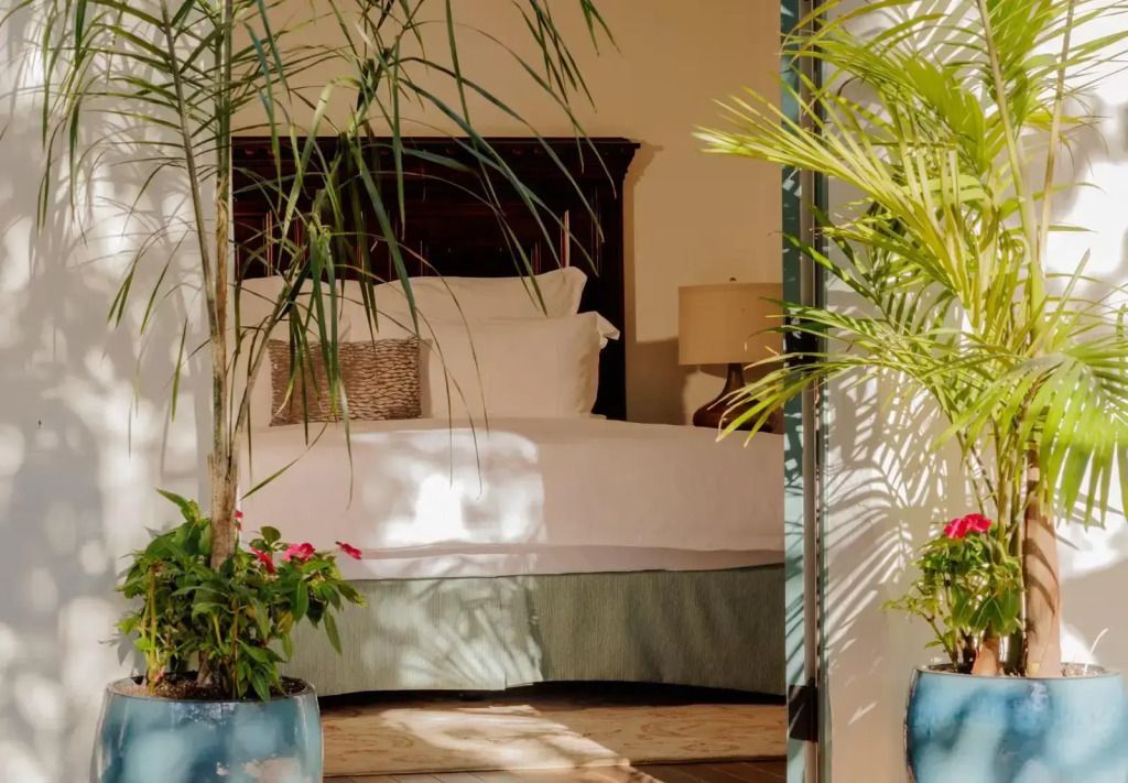 Schlafzimmer mit Pflanzen und hellem Tageslicht, komfortable Einrichtung