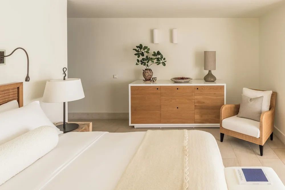 Geräumiges Zimmer mit modernen Möbeln und einer Dekoration aus grünen Pflanzen