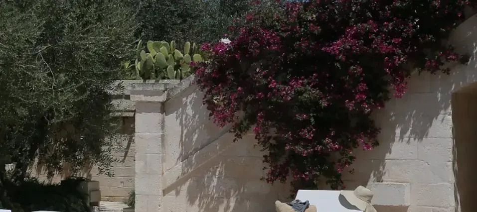 Steinmauer mit blühender Bougainvillea und Blick auf den Garten