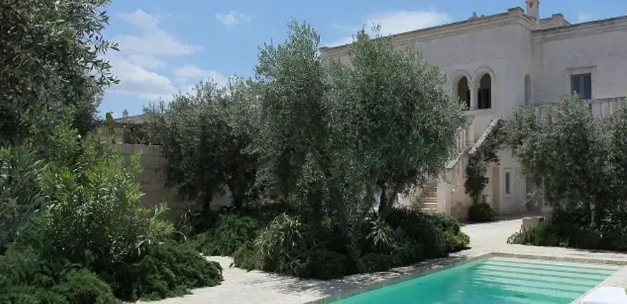 Privater Poolbereich umgeben von Olivenbäumen und mediterraner Vegetation