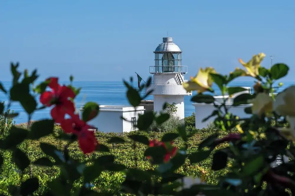 Leuchtturm an der Küste umgeben von grünen Weinreben und bunten Blumen