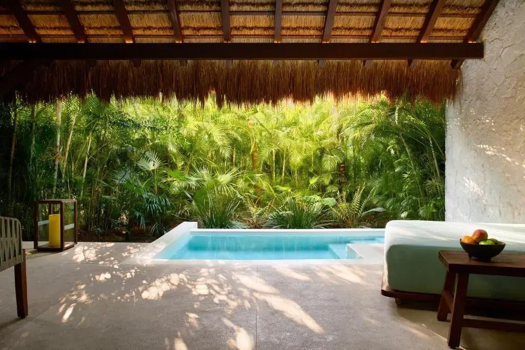 Privater kleiner Pool mit tropischer Gartenlandschaft im Hintergrund.
