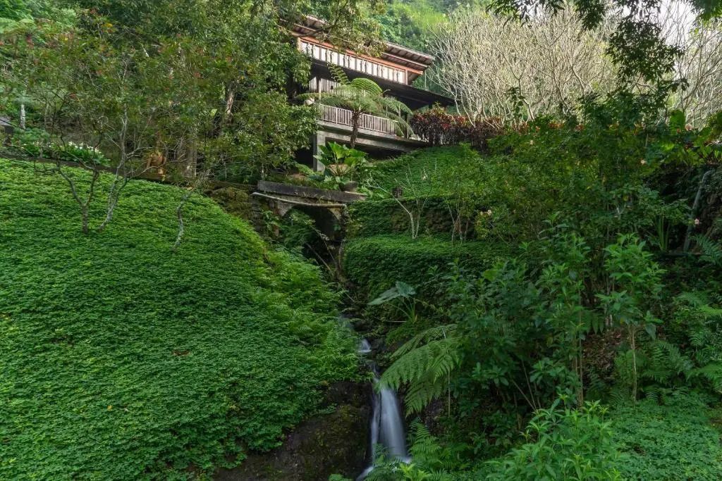 Landschaftsgarten mit dichter Vegetation und kleinem Wasserfall.