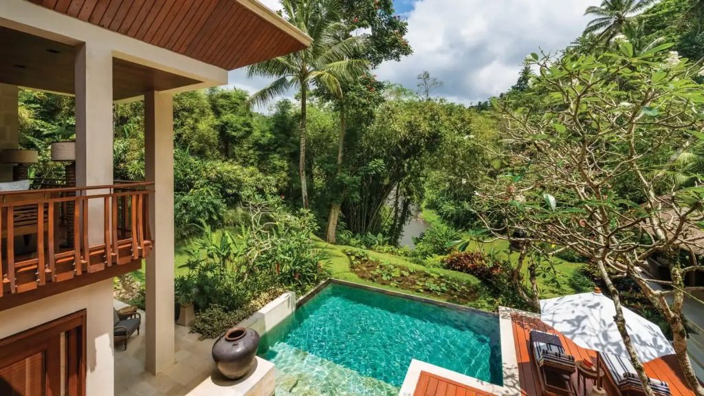 Privater Infinity-Pool mit Blick auf den dichten tropischen Garten.