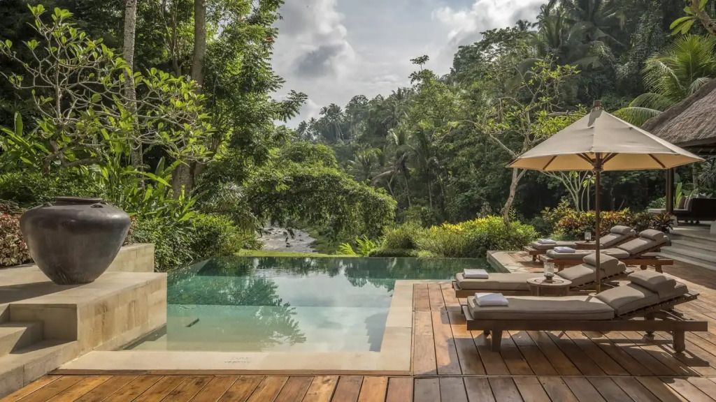 Infinity-Pool mit Sonnenliegen und Blick auf den dschungelartigen Wald.
