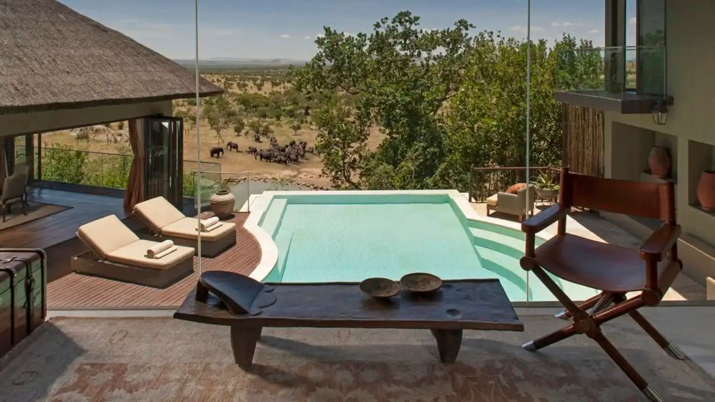 Privater Pool mit Blick auf die endlosen Weiten und Elefanten im Hintergrund.