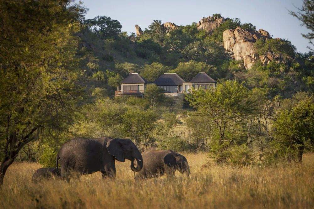 Malereiähnliche Szenerie mit Elefantenherde vor der Safari Villa und Felsen
