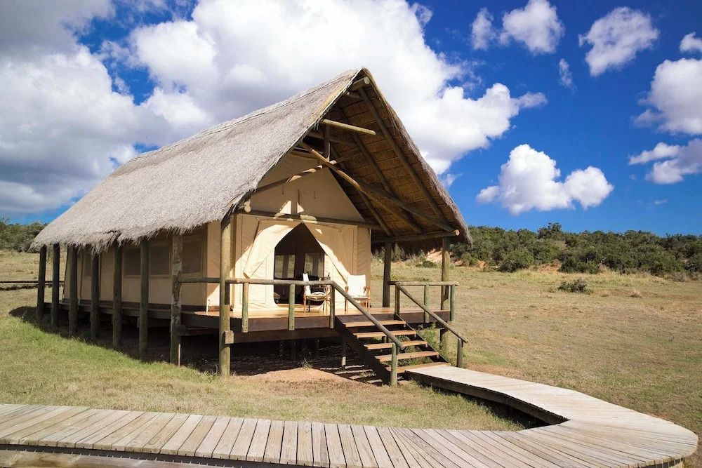 Safarizelt mit Reetdach auf Holzplattform im Gorah Elephant Camp