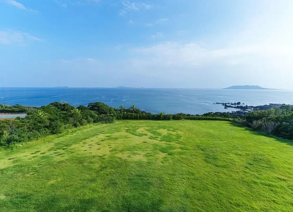 Weite grüne Wiese mit Blick aufs Meer unter klarem Himmel.