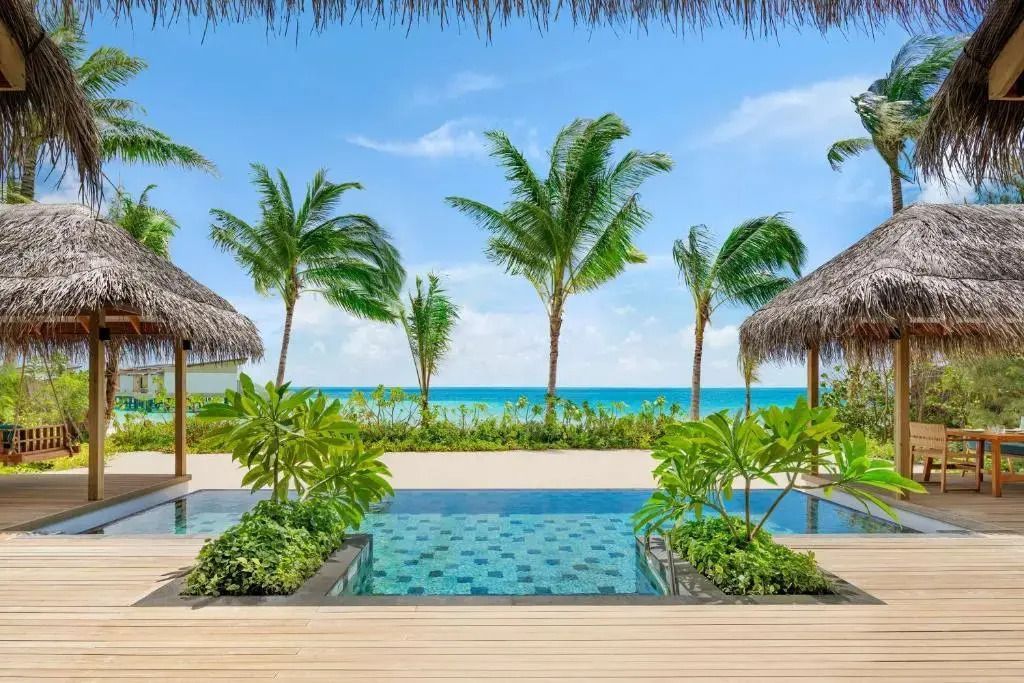 Tropische Poollandschaft mit Palmen und Meerblick im Hilton Maldives Amingiri Resort.