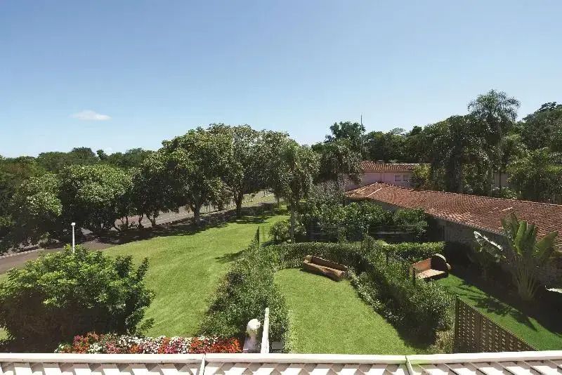 Blick auf grünen Garten und Terrasse mit blühender Pflanzenvielfalt