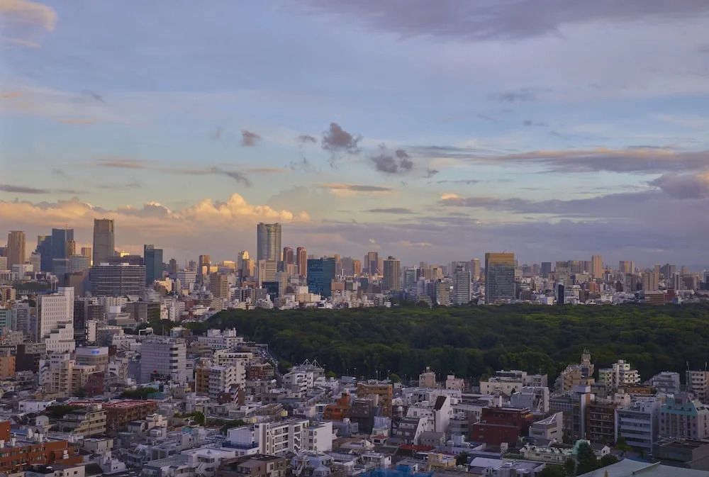 Atemberaubender Blick auf die Skyline von Tokio bei Sonnenuntergang