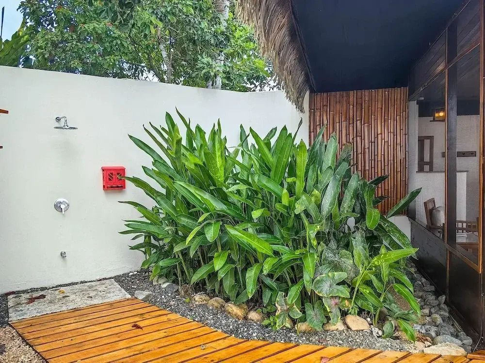 Gartenbereich mit tropischer Bepflanzung in der Lapa Rios Lodge