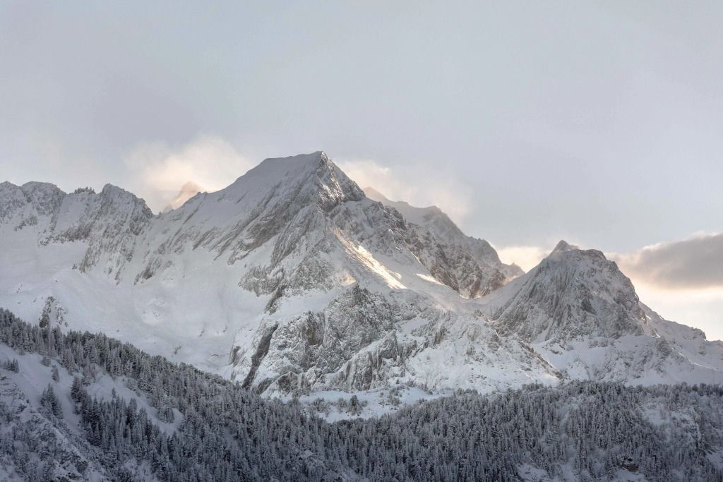 Winterliche Berglandschaft mit schneebedeckten Gipfeln und Wald