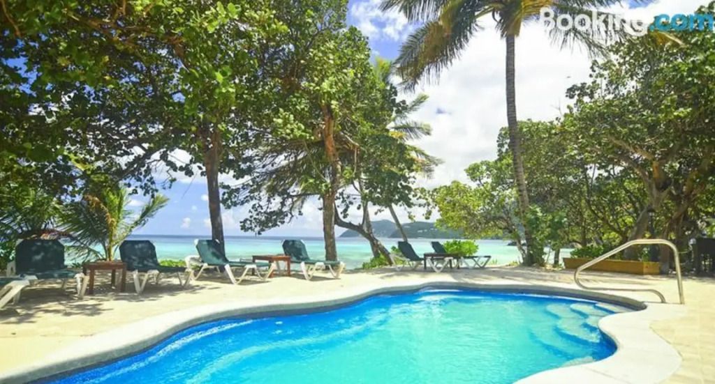 Tropischer Pool mit Meerblick und Palmen am Long Bay Beach Resort.