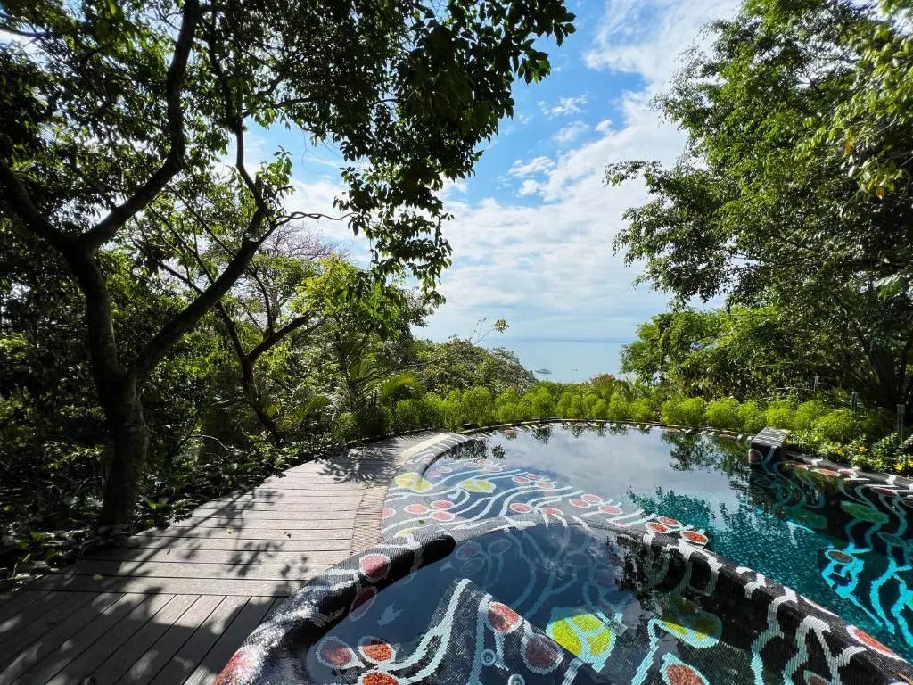 Privater Pool mit tropischer Aussicht und künstlerischem Design