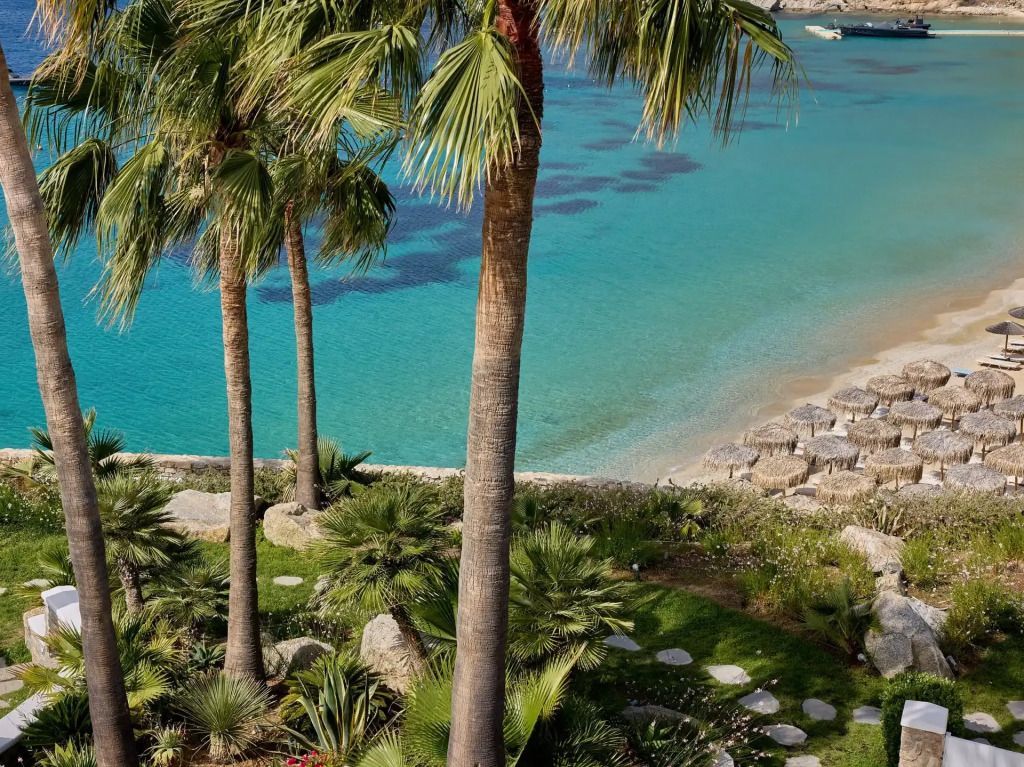 Atemberaubende Aussicht auf den Strand mit Palmen und türkisfarbenem Wasser