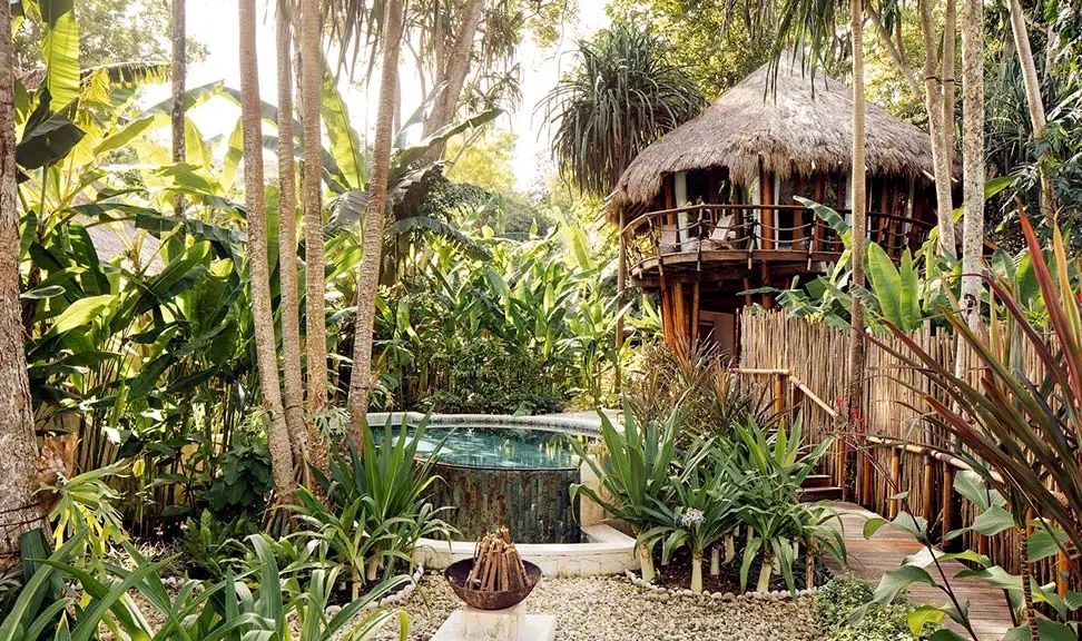 Naturpool umgeben von exotischen Pflanzen und Baumhaus