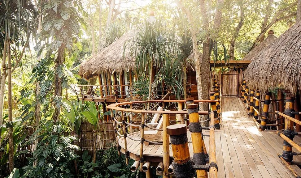 Baumhaus mit Holzterrasse im tropischen Dschungel
