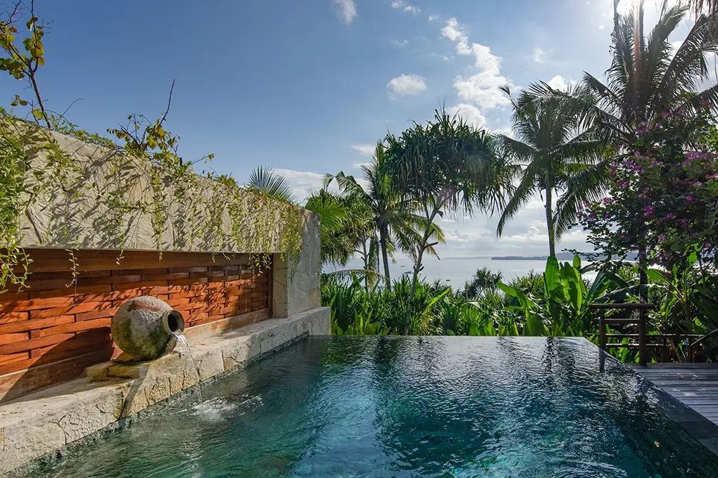 Privater Infinity-Pool mit Blick auf Palmen und Ozean