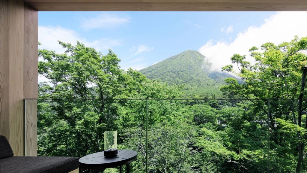 Lush grüner Bergblick im Sommer von der Terrasse aus