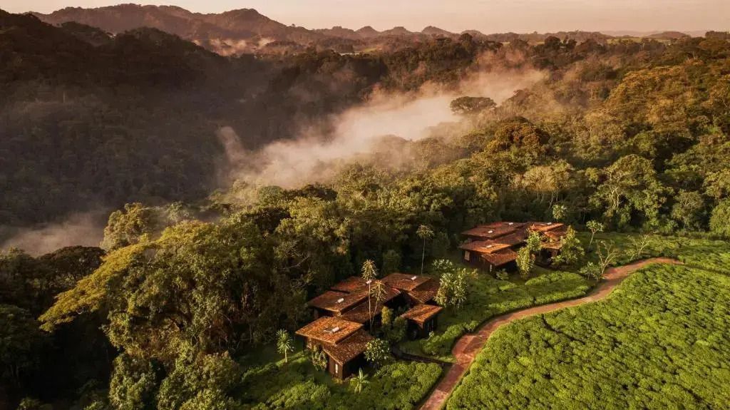 Luftaufnahme der Hotelanlage eingebettet in üppigen Regenwald und hügelige Landschaft.