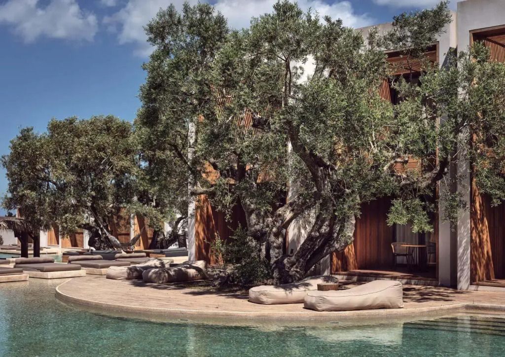 Poollandschaft mit alten Olivenbäumen und moderner Hotelarchitektur im Hintergrund