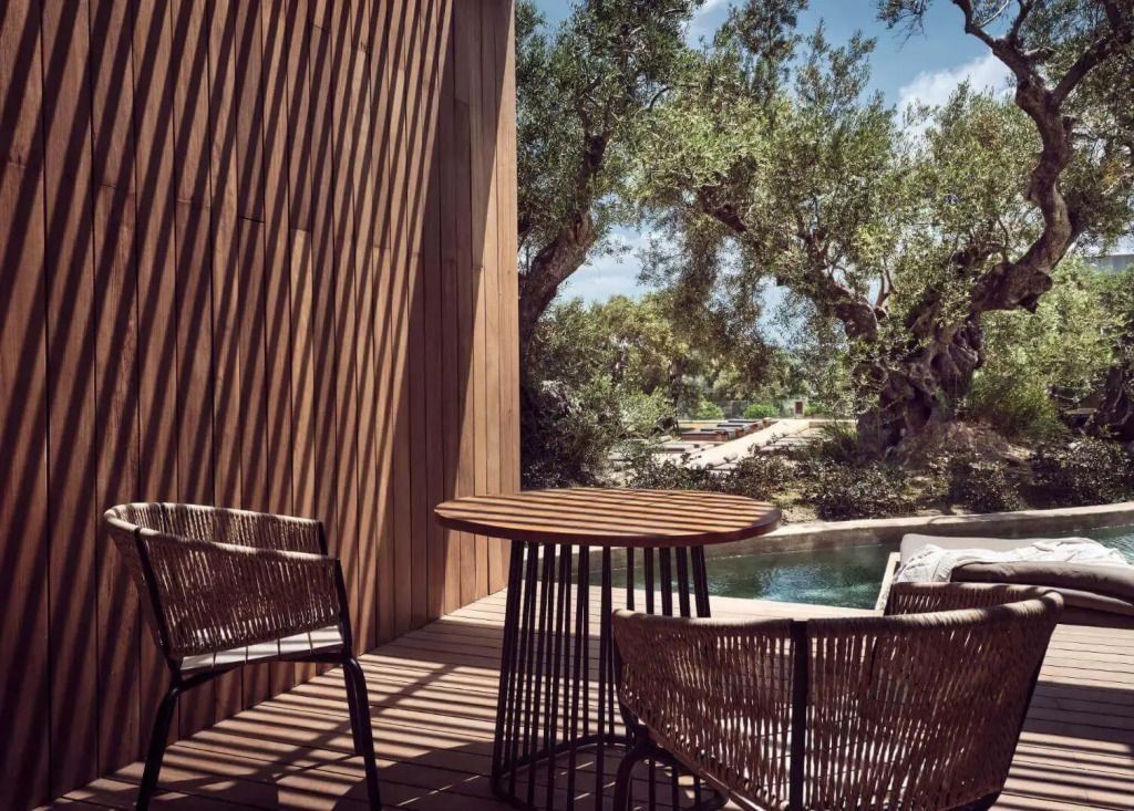 Terrasse mit Blick auf den Pool und OIivenbäume