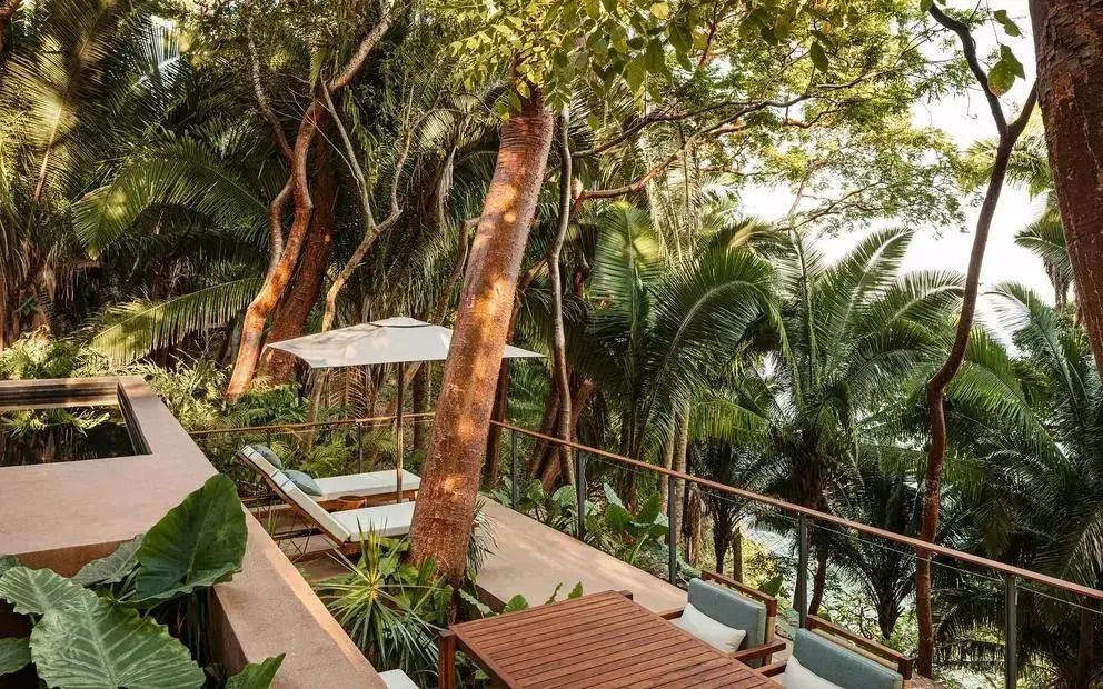 Exklusive Terrasse mit Blick auf dichten tropischen Wald und Meer