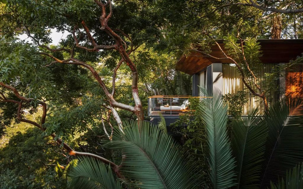 Baumhaus auf Stelzen inmitten üppiger Vegetation mit Balkon