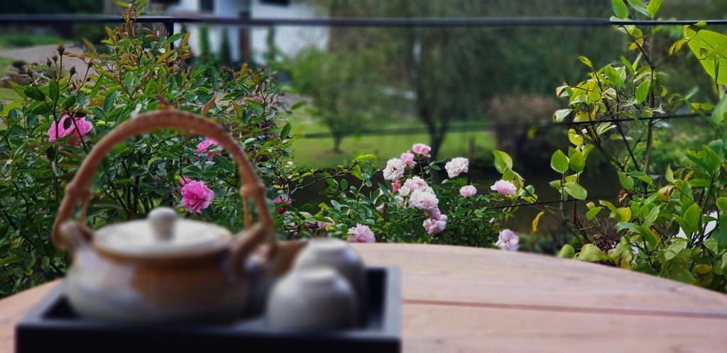 Blühende Rosen mit Ausblick auf eine ruhige Gartenlandschaft
