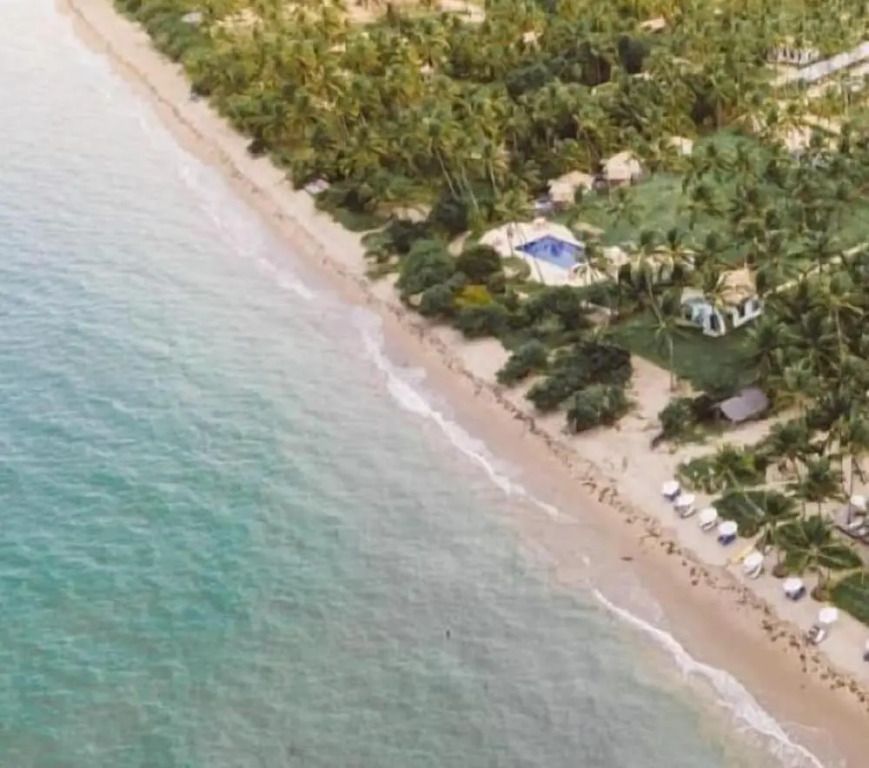 Luftaufnahme eines tropischen Strandes mit Palmen und hellem Sand.