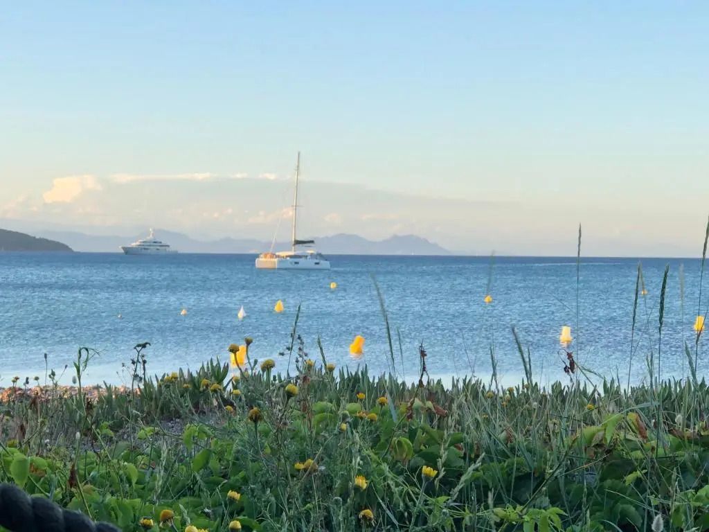 Blick auf das Meer mit Booten und grüner Ufervegetation