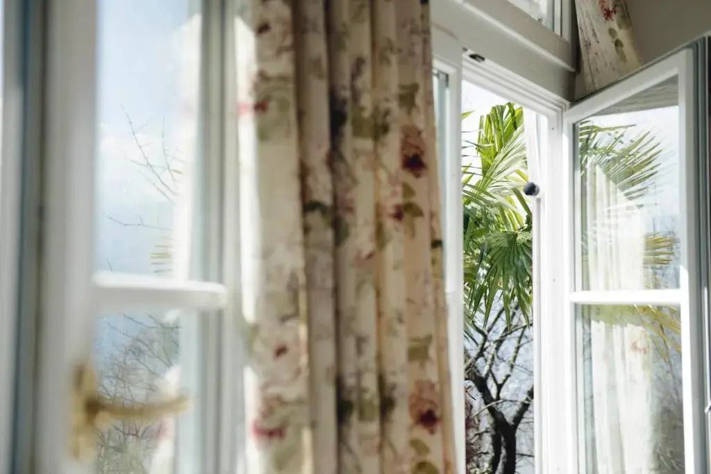 Blick durch Fenster auf Palmen und Landschaft