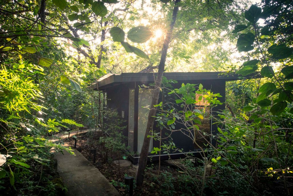 Pfad durch den dichten Wald zu einem modernen Bungalow