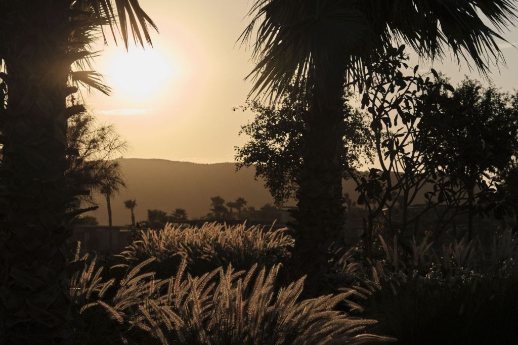 Sonnenuntergang über üppiger Vegetation mit Palmen und Hügeln in der Ferne