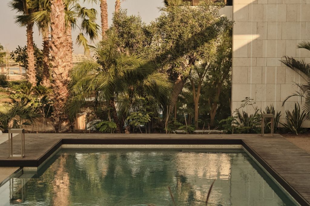 Grüner Garten mit Pool und üppiger Vegetation bei Sonnenuntergang